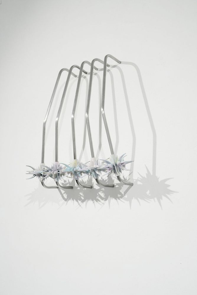 On the Ground | Franziska Opel